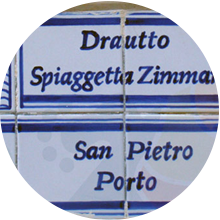 Drautto Zimmari