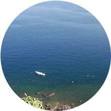 mare